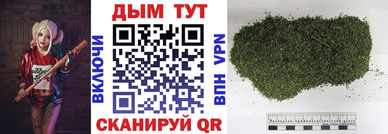 Где найти наркотики Анжеро-Судженск Гашиш  Амфетамин  Меф мяу мяу  Каннабис  APVP 