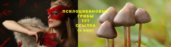 соль ск Алексин