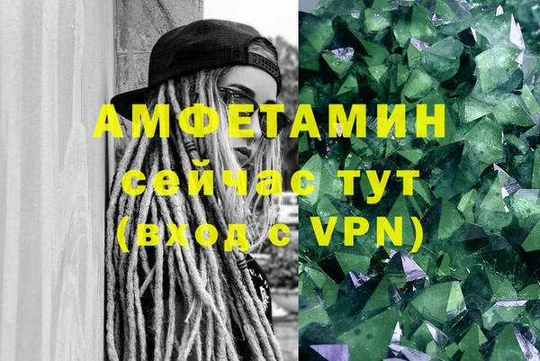 стафф Алзамай
