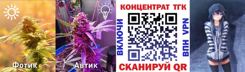 где можно купить   Анжеро-Судженск  ТГК концентрат 